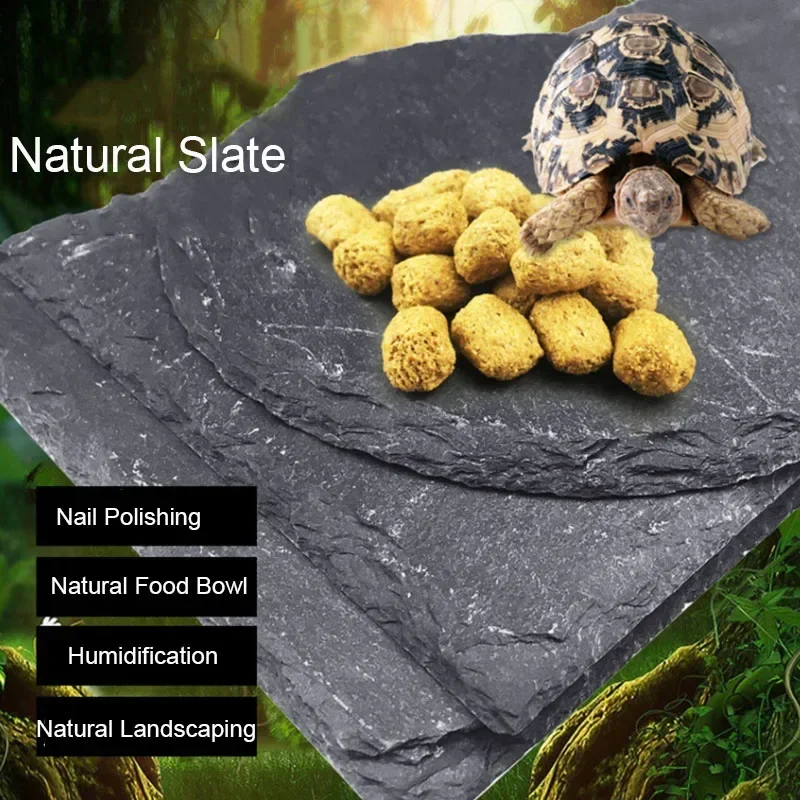 Aquarium Driftwood - Natürliche Schiefer Aquarium Haustier Reptilien Feeder