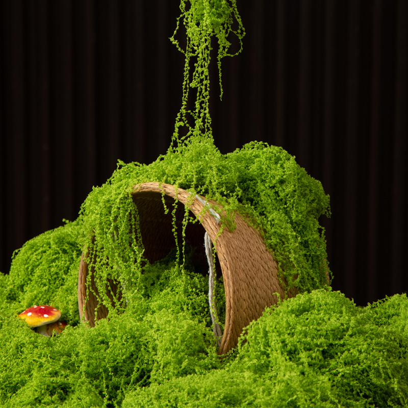 Aquarium Moss - 200g Ewiges Leben Moos DIY Bastelbedarf
