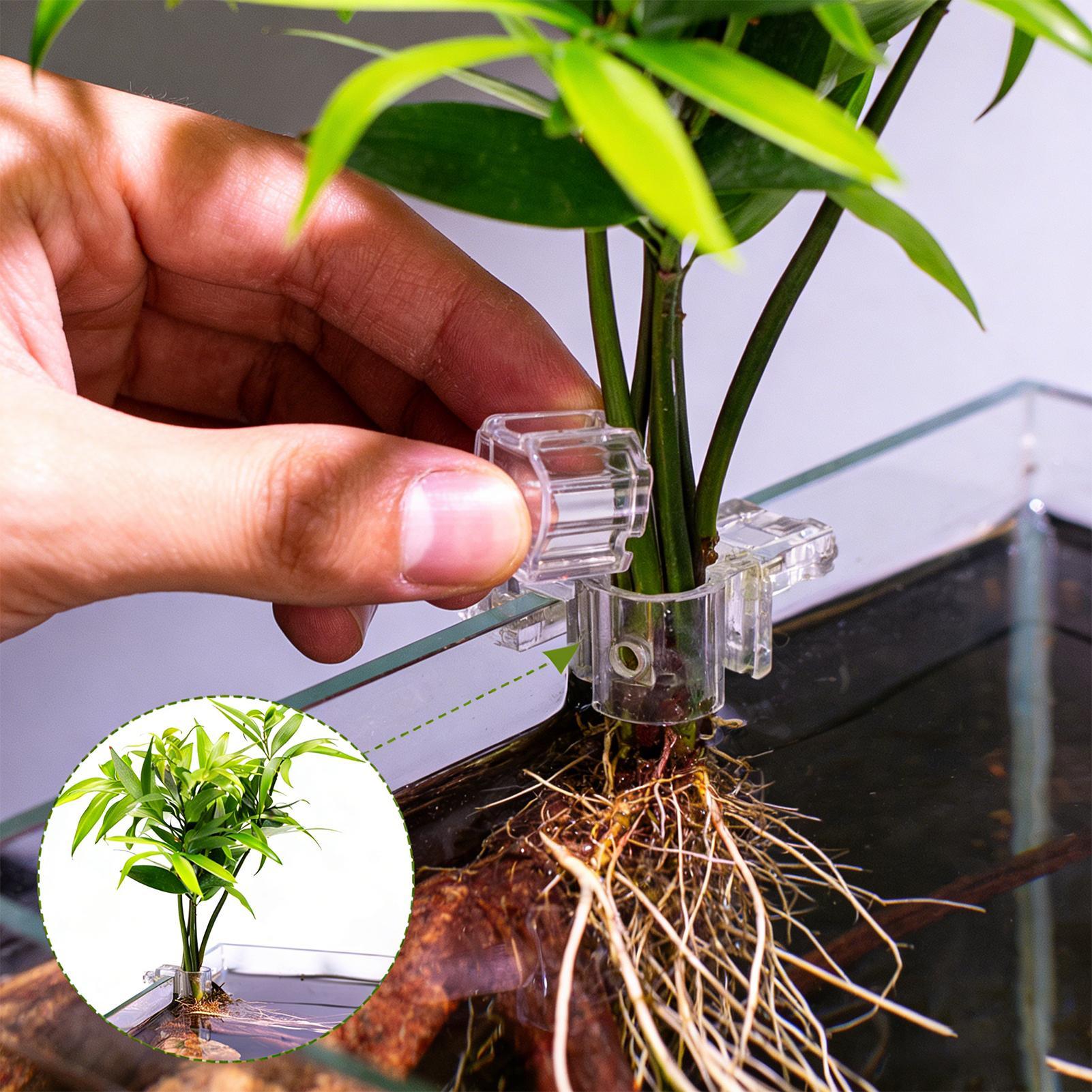 Aquarium Plants Live - 6 Stück Aquarium-Pflanzenhalter Transparente Pflanzhalterung Aufhängbare