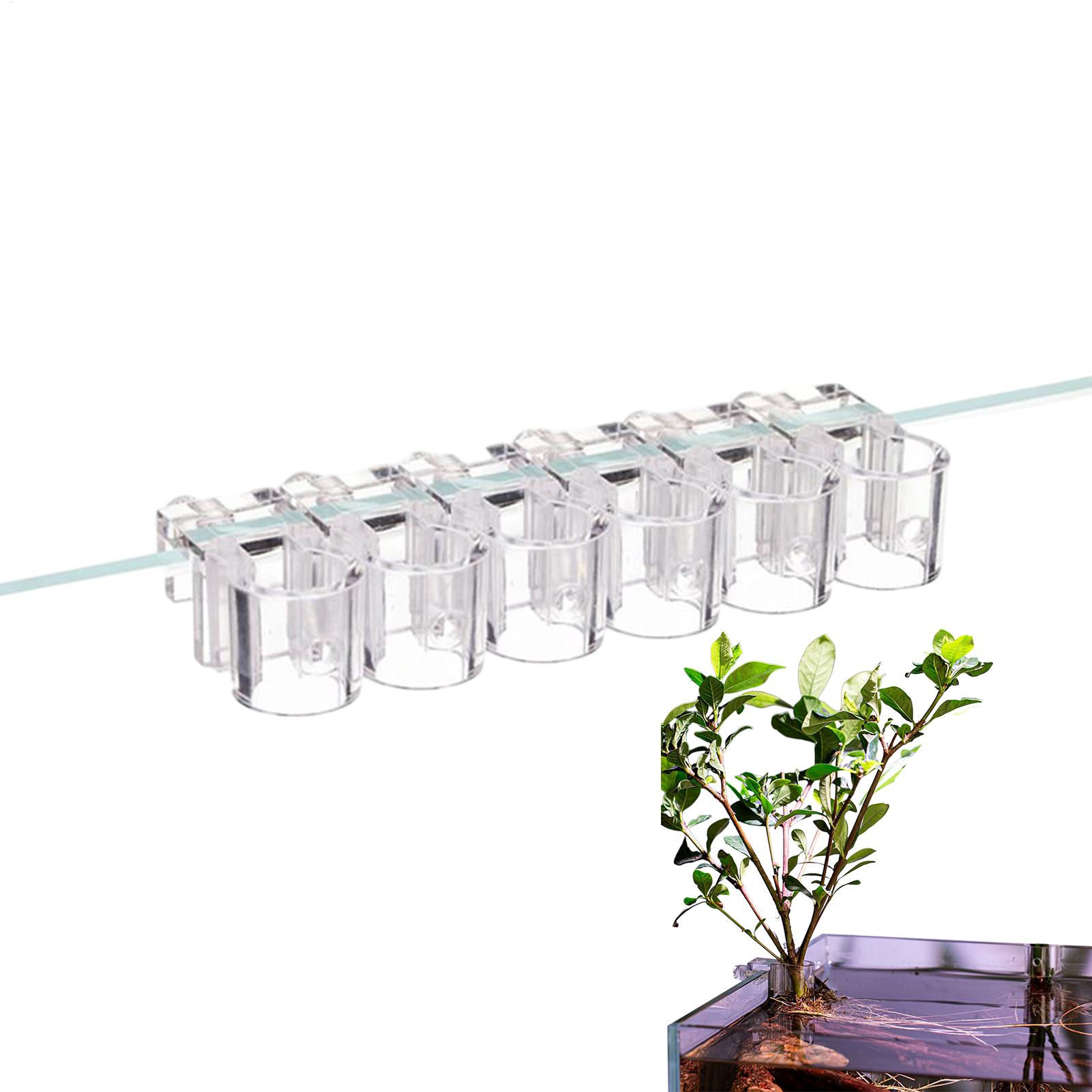 Aquarium Plants Live - Aquarium-Pflanzenkorb Transparenter Hängebehälter für Fischbecken Aquatische
