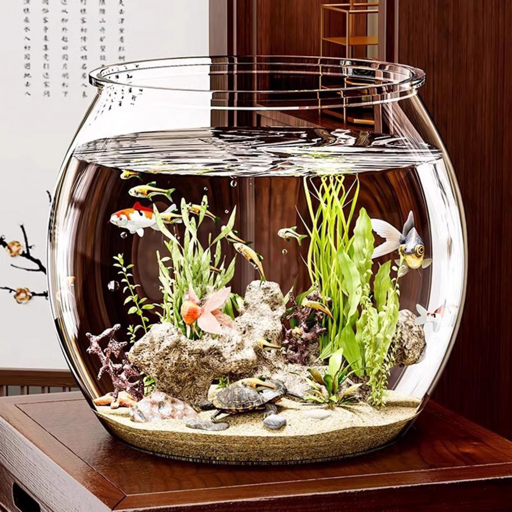 Plant Aquarium Pot - Durchsichtiger runder Fischschale aus Kunststoff für
