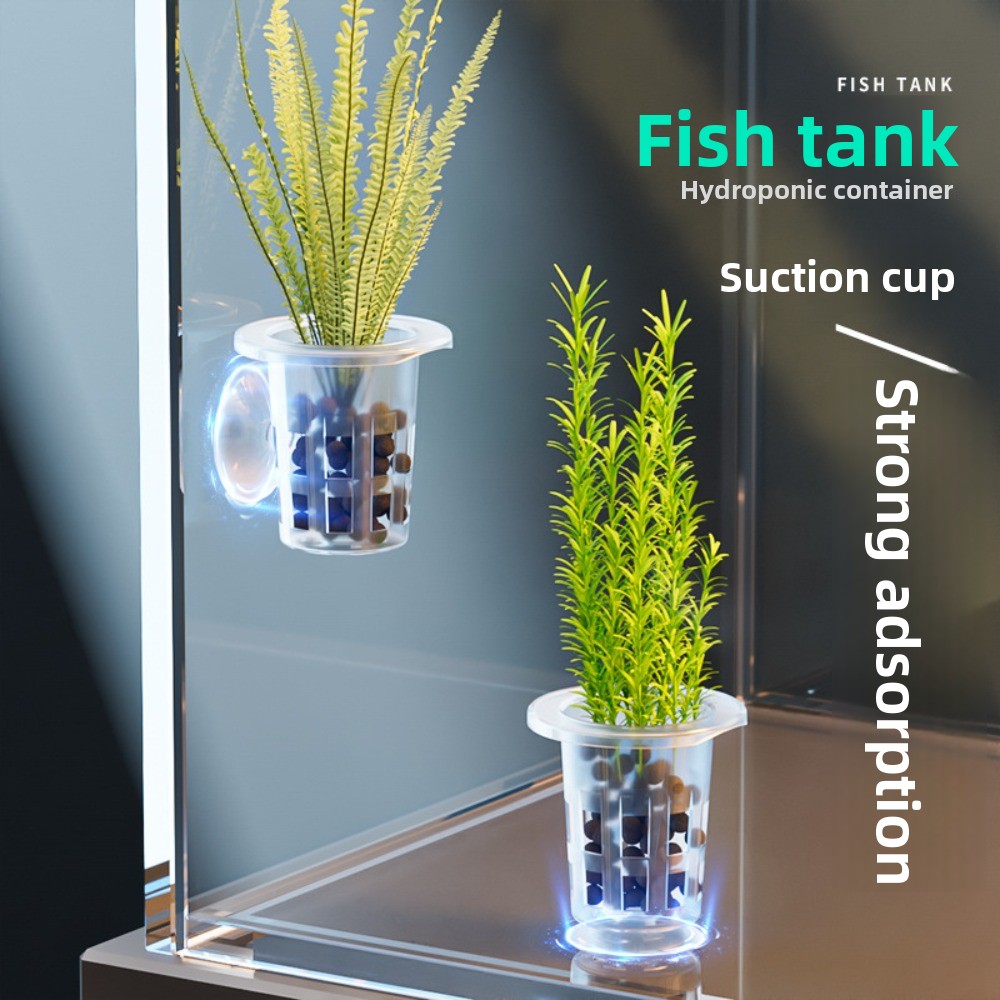 10 Stück Transparente Hydrokul – Aquarium Plants Live Bewertung und Preis