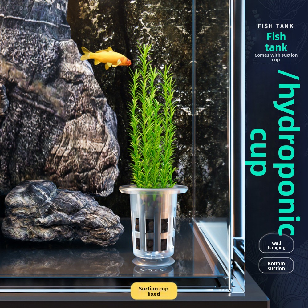 10 Stück Transparente Hydrokul – Aquarium Plants Live Bewertung und Preis