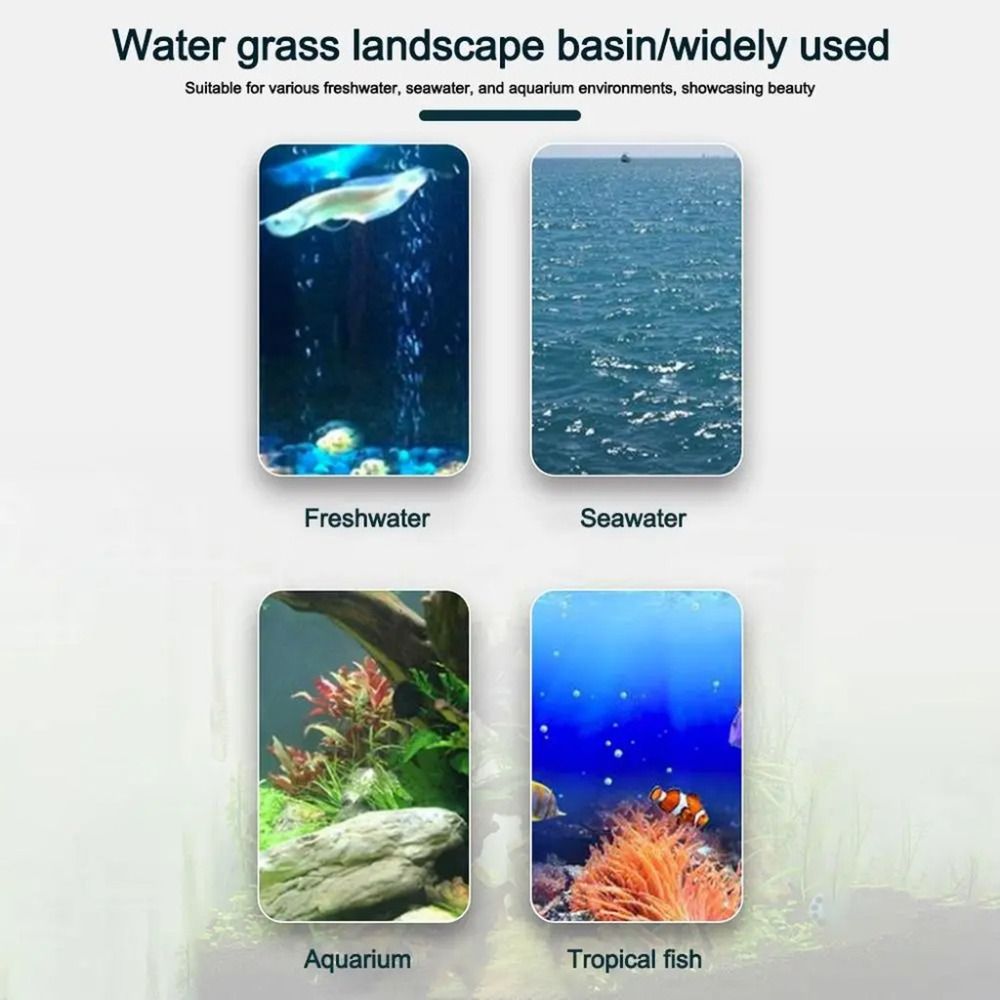 10 Stück Transparente Hydrokul – Aquarium Plants Live Bewertung und Preis
