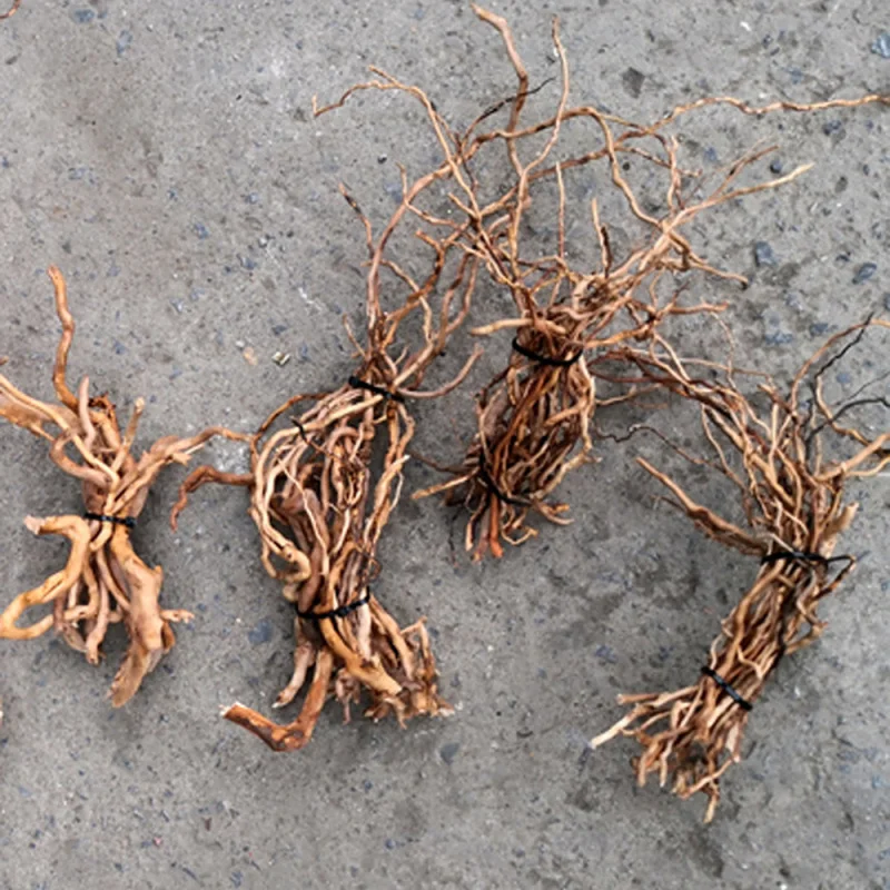 Natürlicher Treibholz-Wurzelst – Aquarium Driftwood Bewertung und Preis