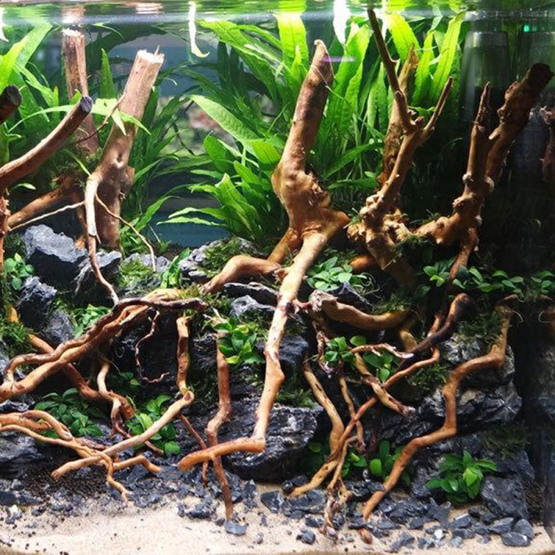 Natürlicher Treibholz-Wurzelst – Aquarium Driftwood Bewertung und Preis
