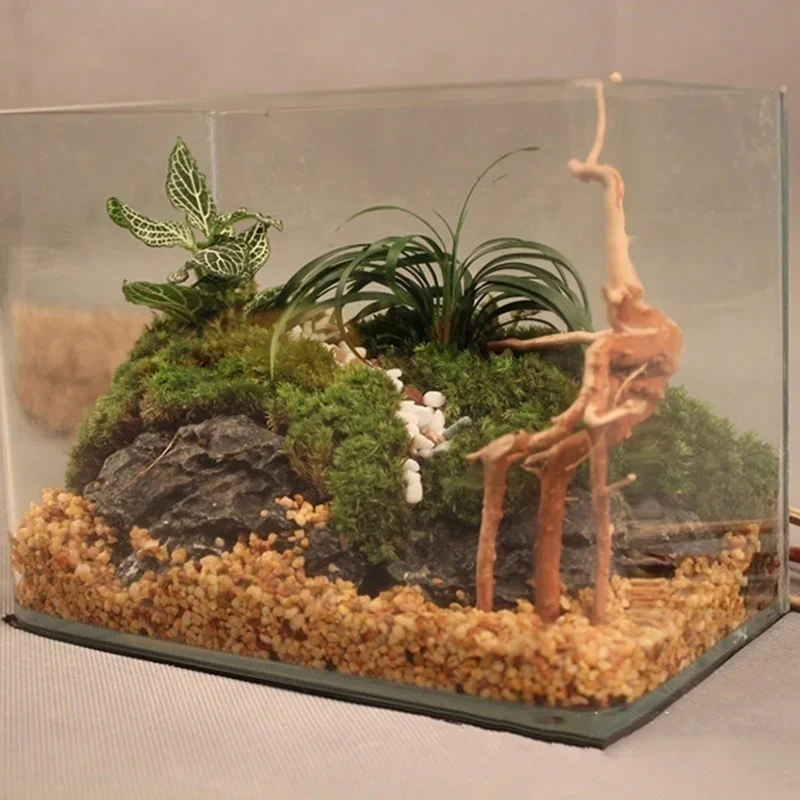 Natürlicher Baumstamm Treibhol – Aquarium Plant Substrate Bewertung und Preis