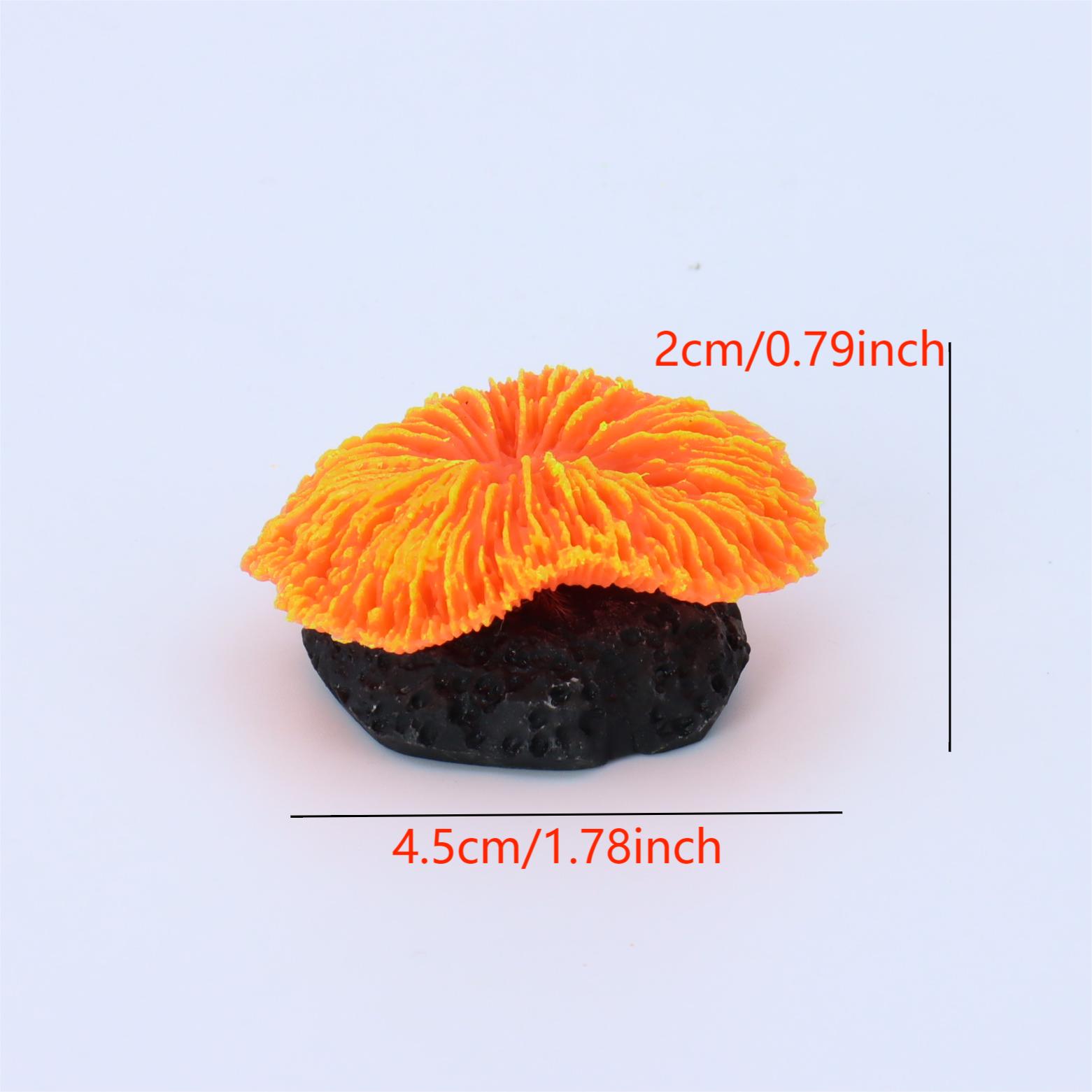 1 Stück Aquarium-Dekoration, K – Aquarium Plants Live Bewertung und Preis