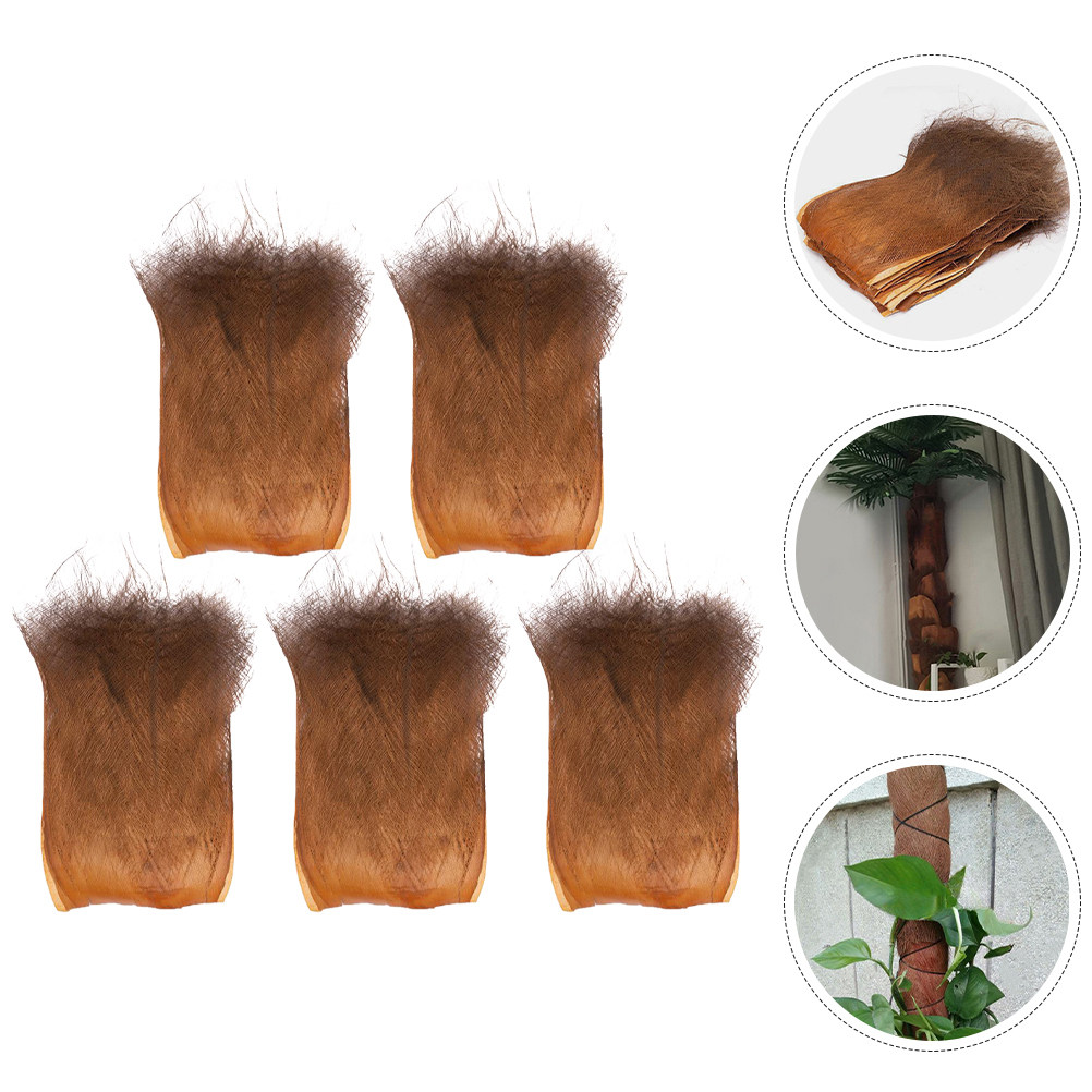 5 Blatt Natürliche Palmenrinde – Plant Aquarium Pot Bewertung und Preis