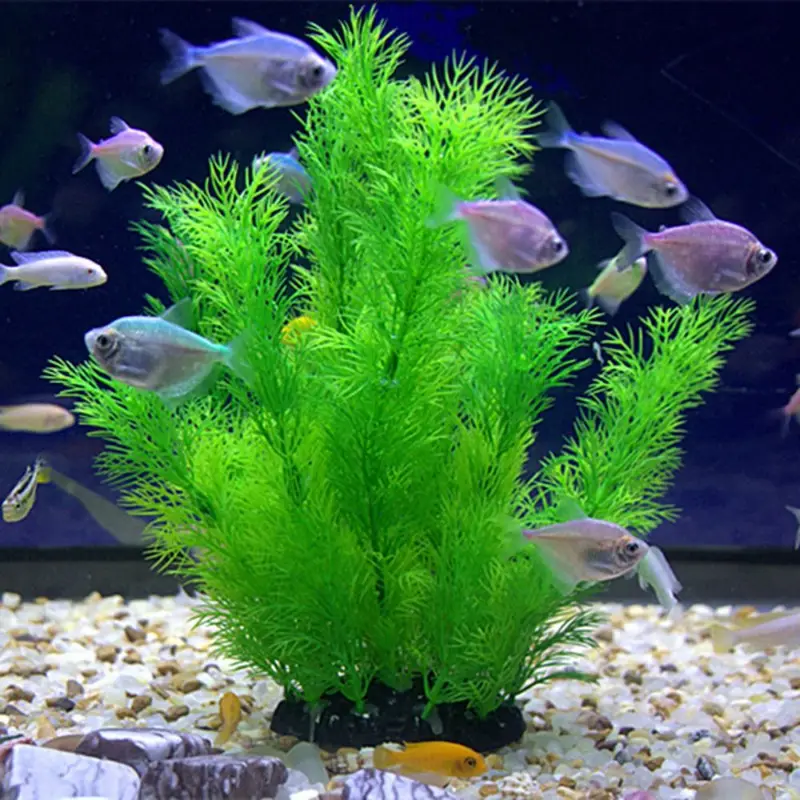 Künstliche Aquarium Dekor Pfla – Aquarium Plant Substrate Bewertung und Preis