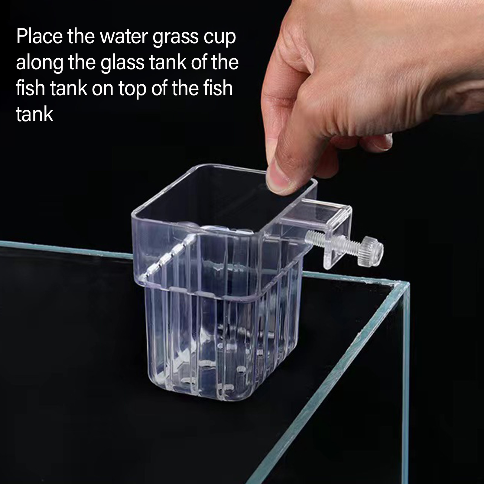 Klarer Acryl-Pflanzenhalter, H – Aquarium Plant Holder Bewertung und Preis