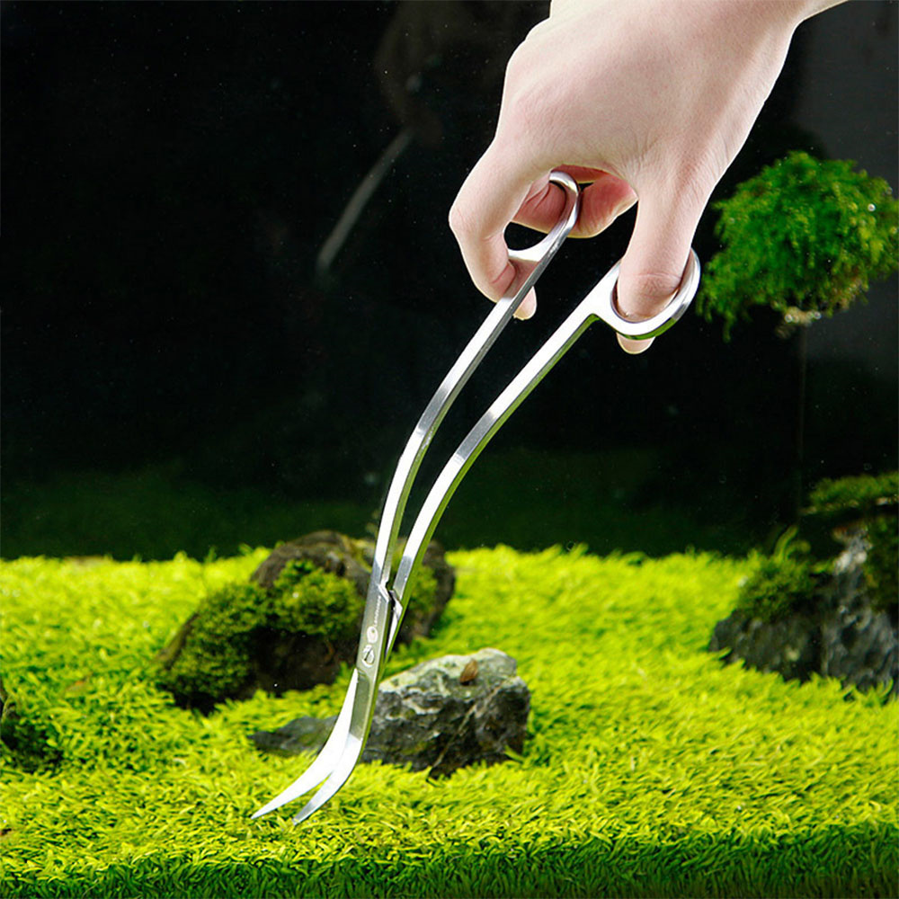 Aquarium Zubehör Hart Edelstah – Planted Aquarium Cleaning Bewertung und Preis