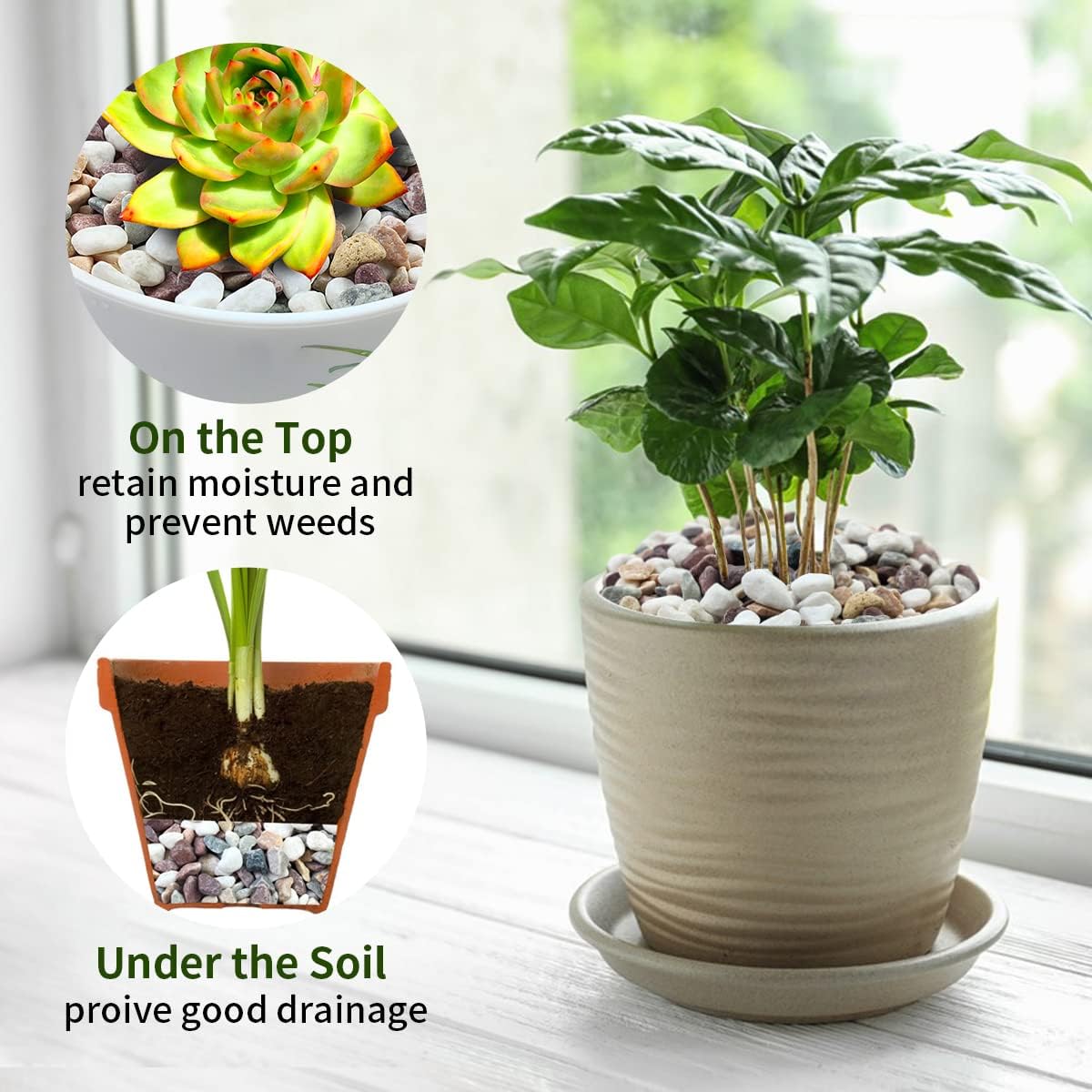 Gemischte Farben Kieselsteine  – Plant Aquarium Pot Bewertung und Preis