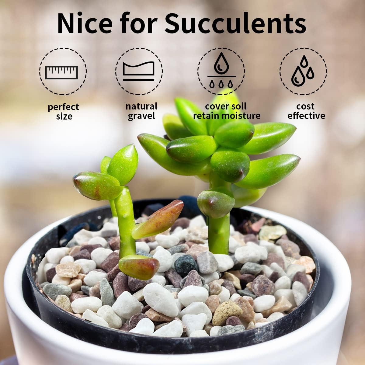 Gemischte Farben Kieselsteine  – Plant Aquarium Pot Bewertung und Preis