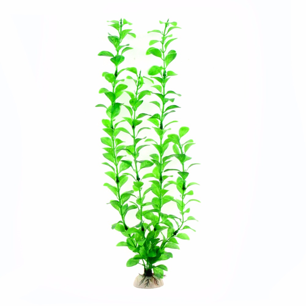 Ornament, Aquarium-Zubehör, kü – Aquarium Plants Live Bewertung und Preis