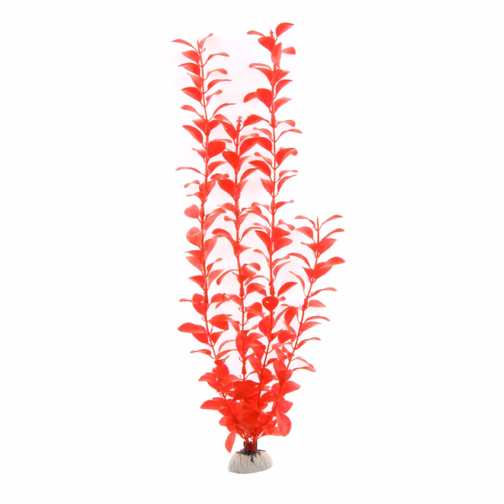 Ornament, Aquarium-Zubehör, kü – Aquarium Plants Live Bewertung und Preis