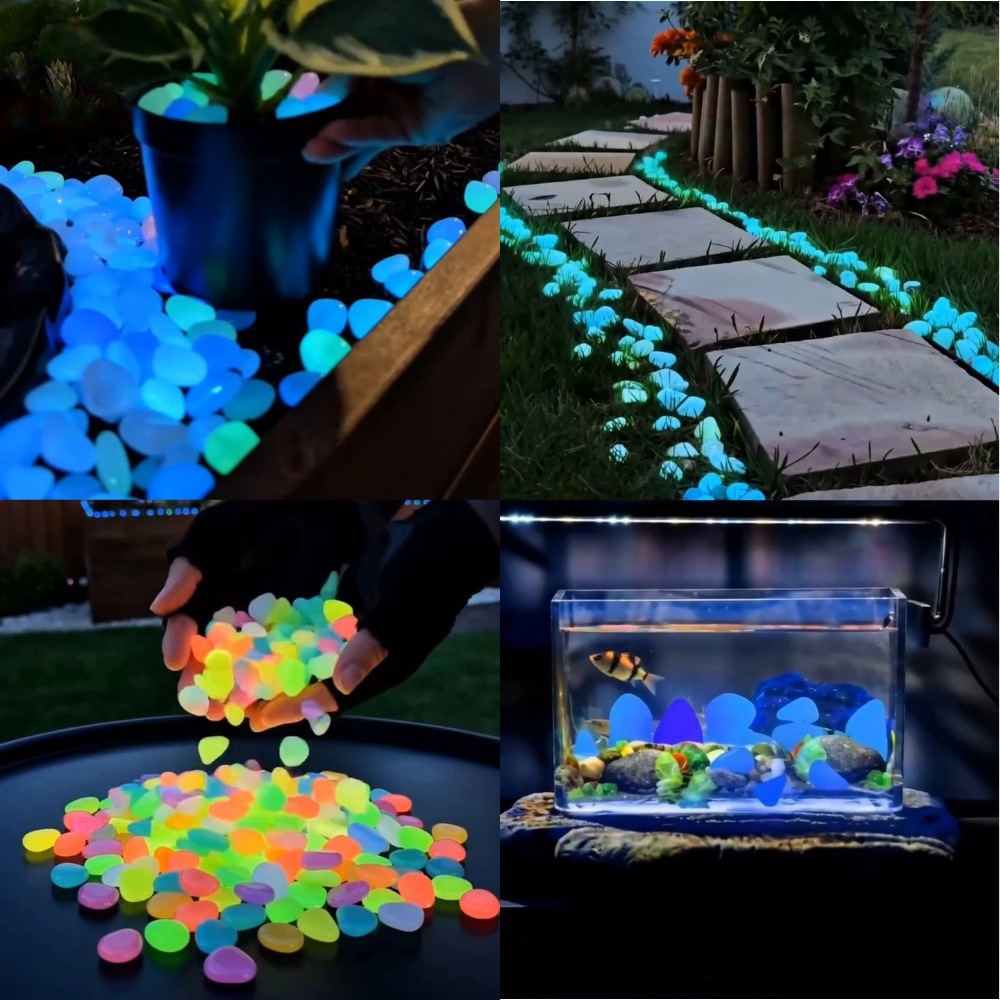 Bunte, im Dunkeln leuchtende K – Planted Tank Bewertung und Preis