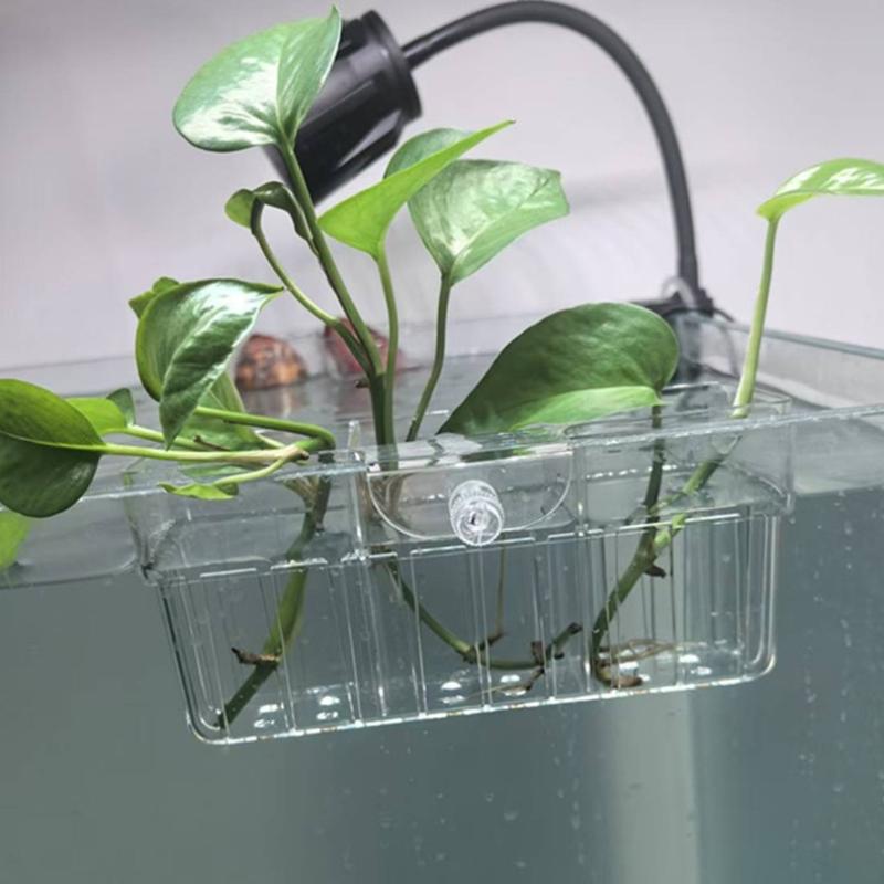 Hydroponischer Pflanzenkorb au – Planted Tank Bewertung und Preis