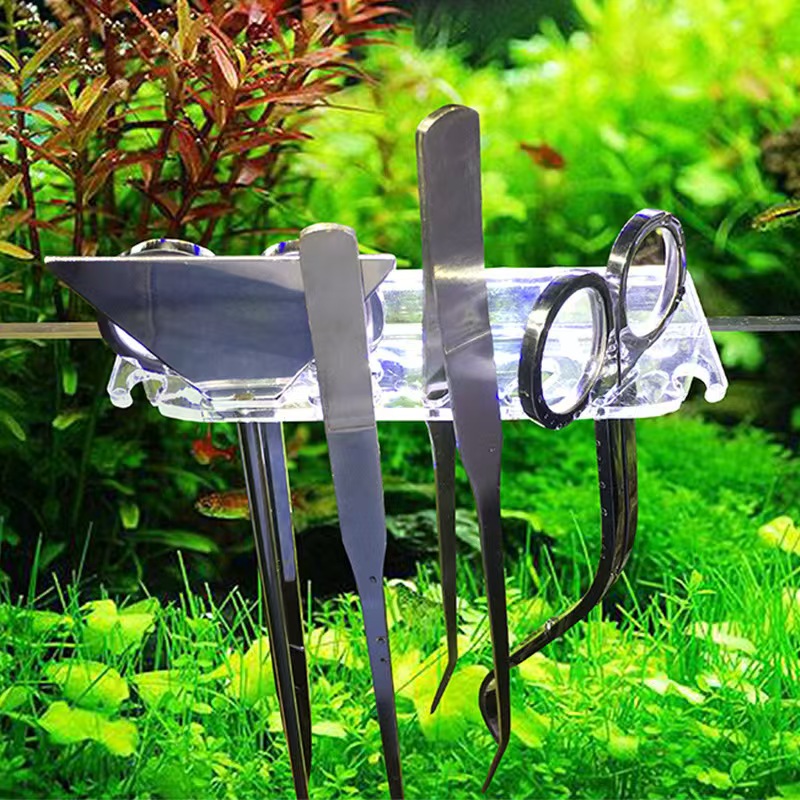 Professionelles Aquarium-Wartu – Aquarium Plants Live Bewertung und Preis