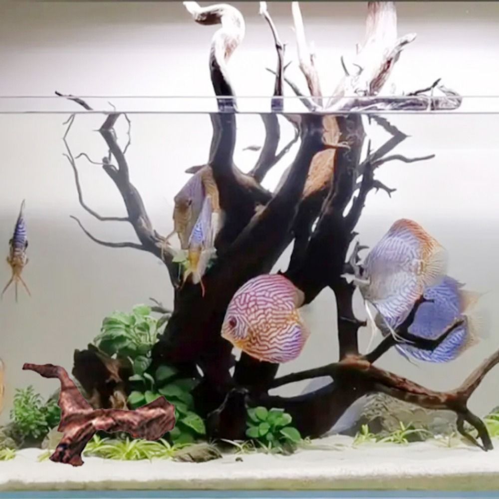 Kreative Unregelmäßige Form Ko – Aquarium Driftwood Bewertung und Preis