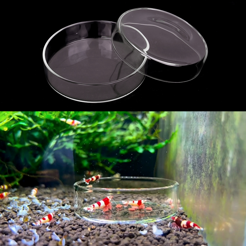 Garnelen Futternapf Hohe Trans – Aquarium Fertilizer Bewertung und Preis