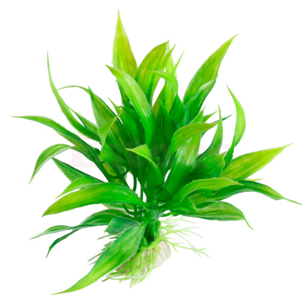 15CM/10CM Unterwasser Künstlic – Aquarium Plants Live Bewertung und Preis