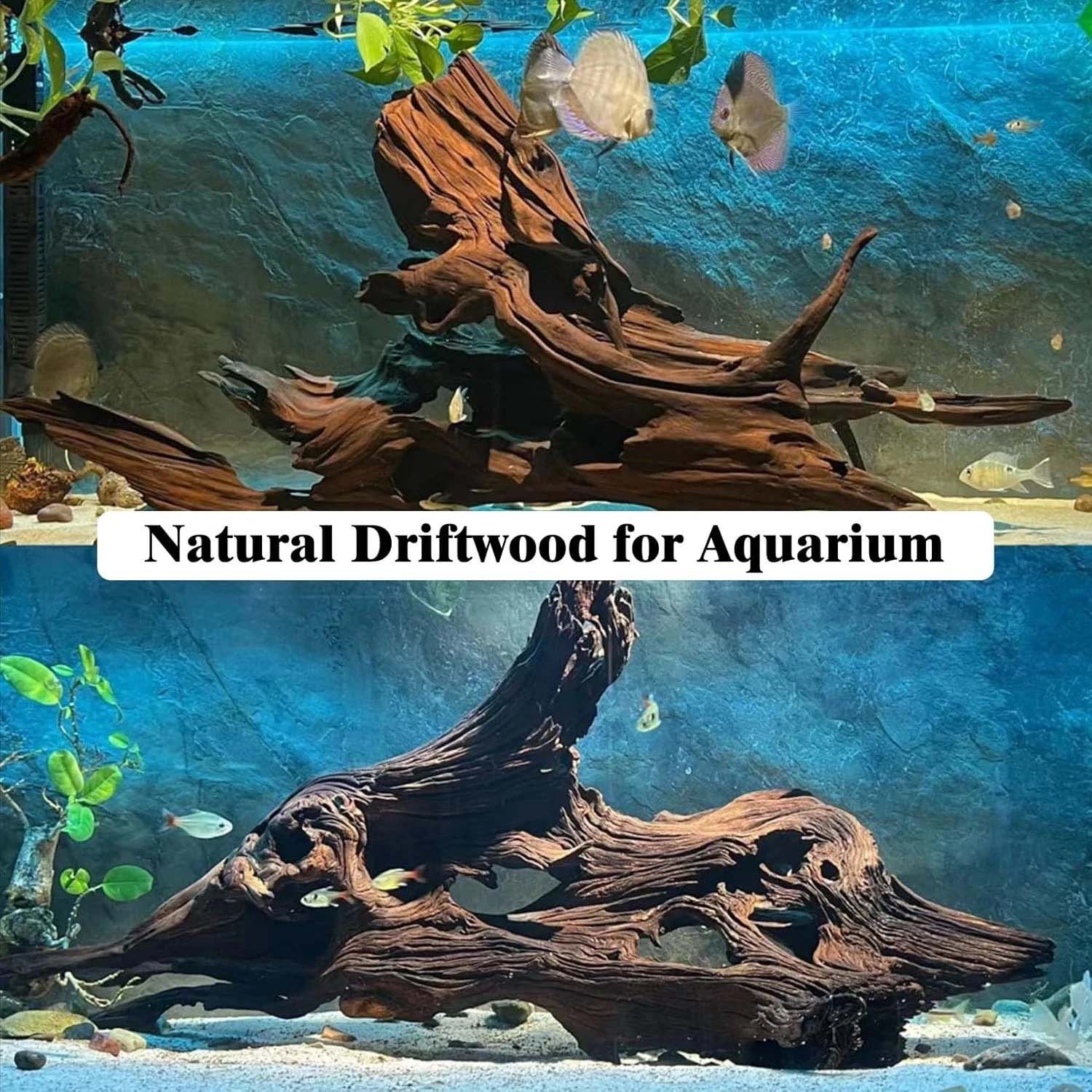 15-20CM 1 Stück Natürliches Tr – Aquarium Plant Substrate Bewertung und Preis