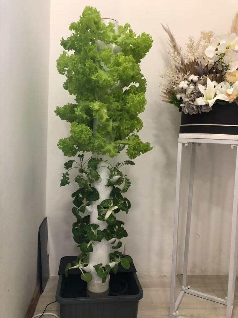 Vertikaler Hydroponischer Anba – Planted Tank Bewertung und Preis