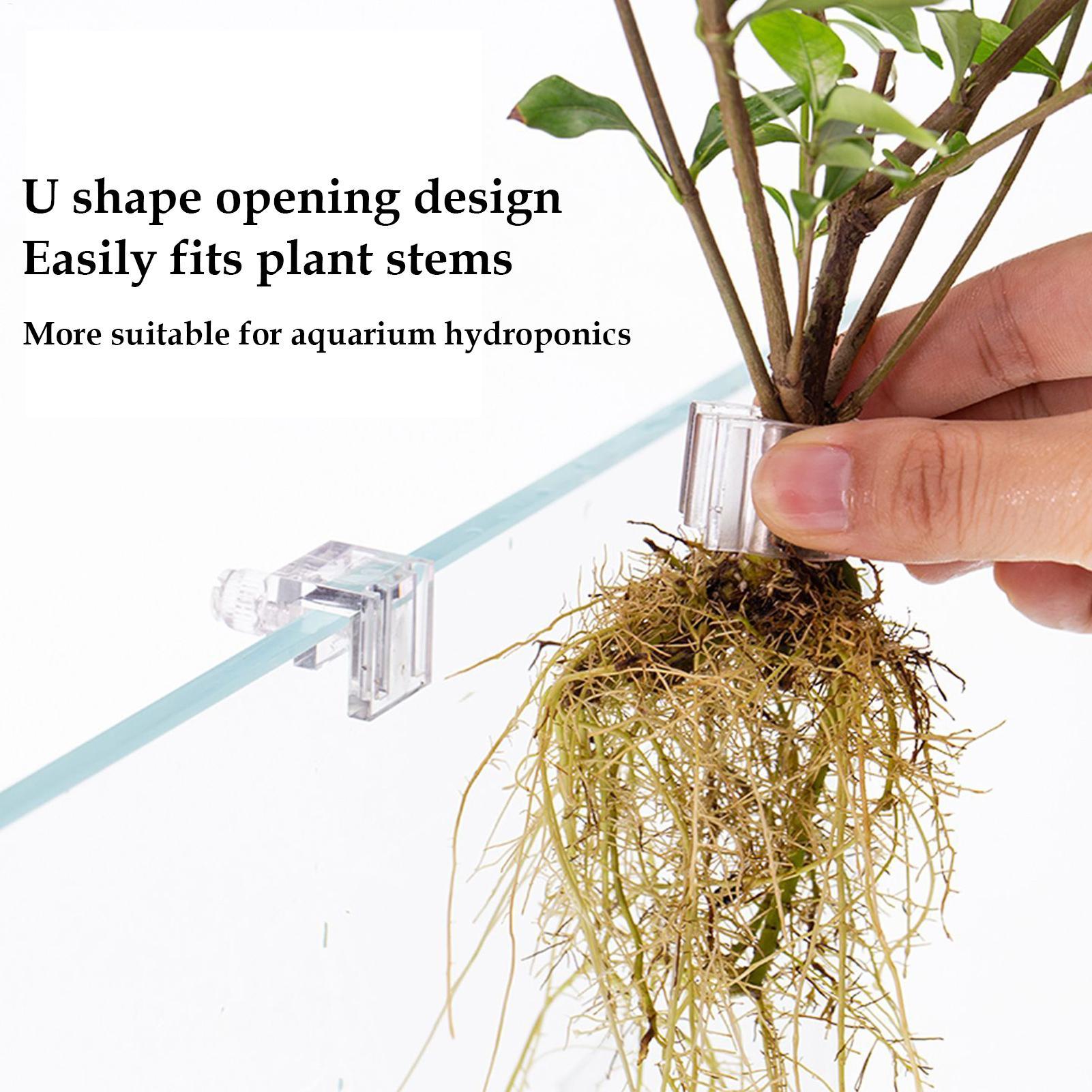 Mini-Aquarium-Pflanztopf 6 Stü – Aquarium Plants Live Bewertung und Preis