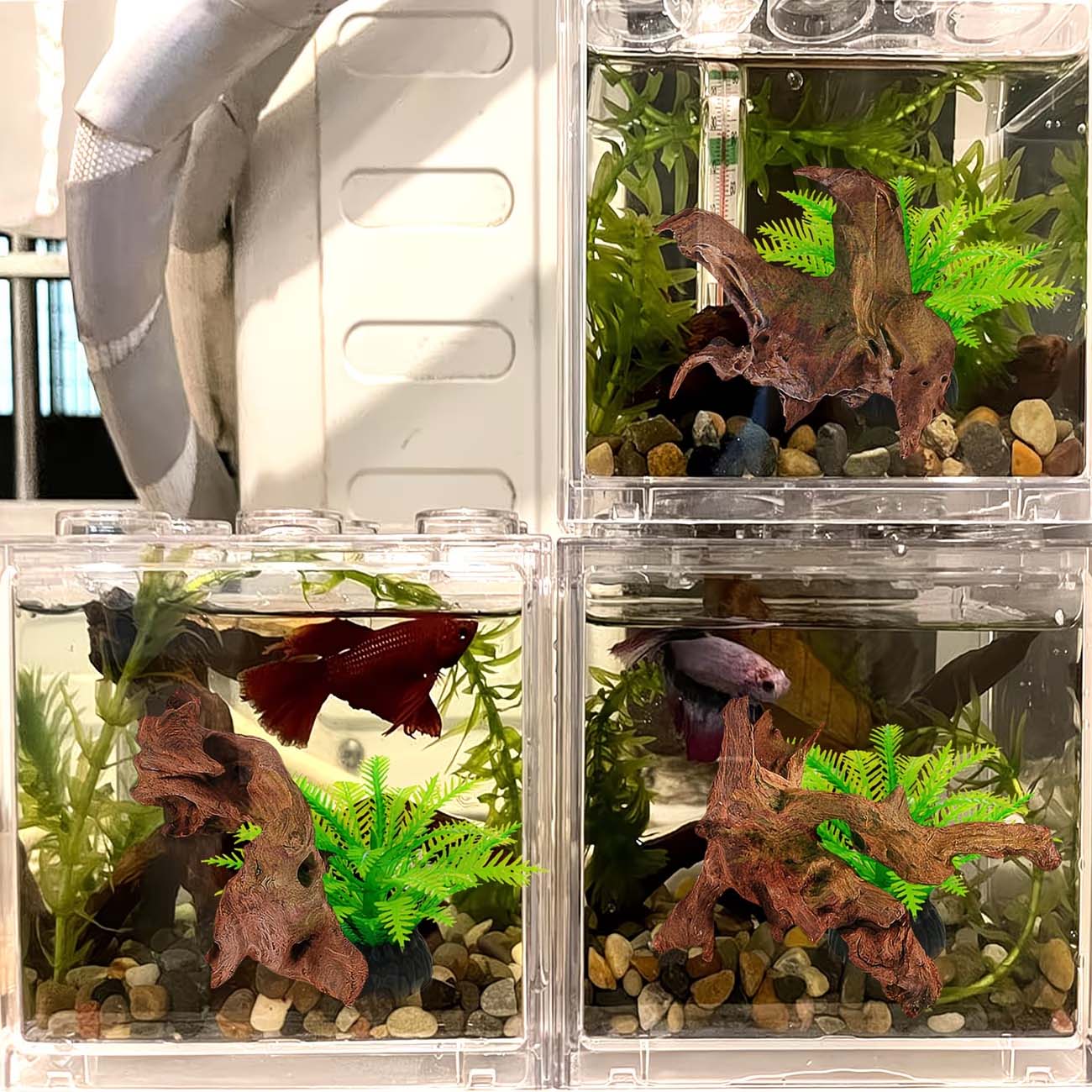 5-10CM Natürliches Sinkbares T – Aquarium Driftwood Bewertung und Preis