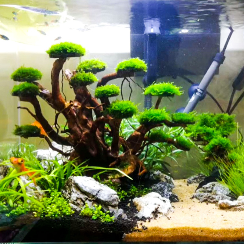 Aquarium-Landschaftsgestaltung – Aquarium Plant Substrate Bewertung und Preis