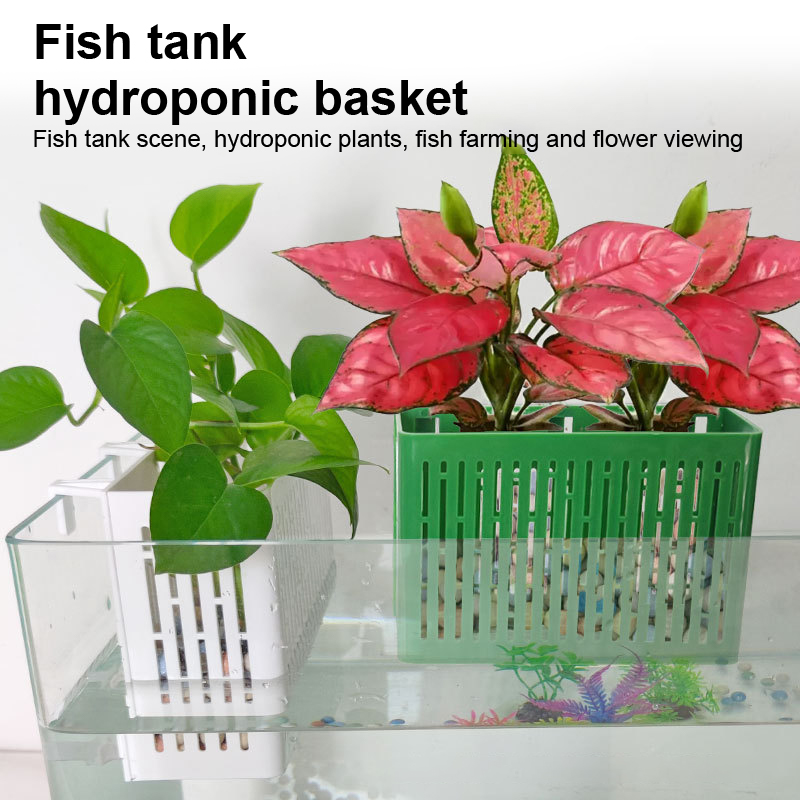【F】Aquarium-Hängepflanzgefäß,  – Aquarium Plant Substrate Bewertung und Preis