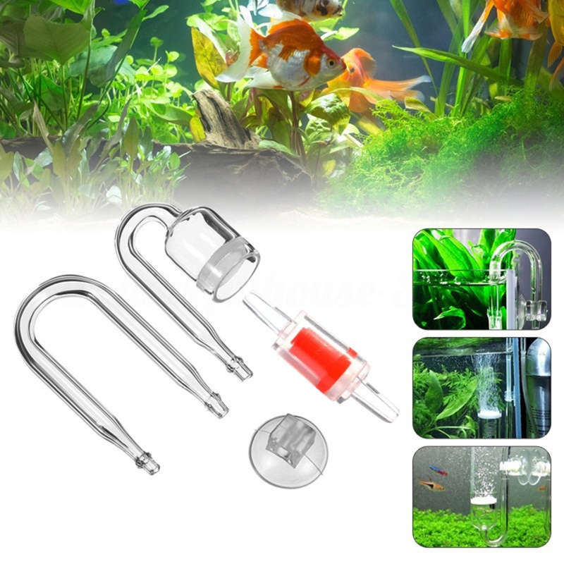 4 stücke Set DIY CO2-Diffusor  – Aquarium Moss Bewertung und Preis