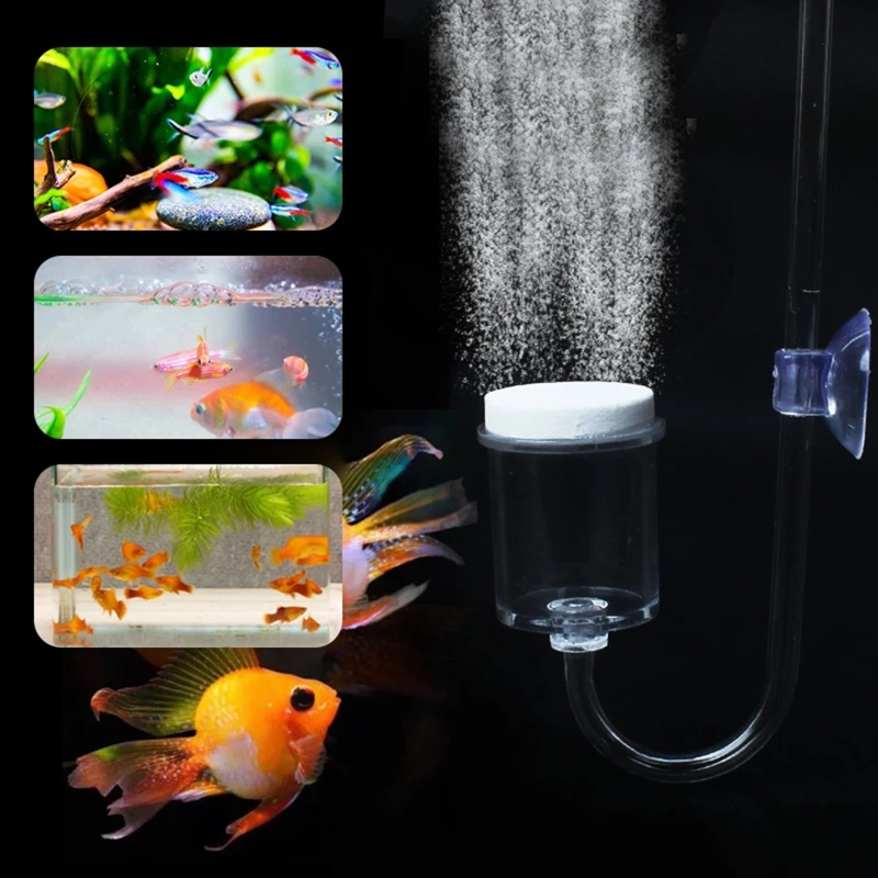 4 stücke Set DIY CO2-Diffusor  – Aquarium Moss Bewertung und Preis