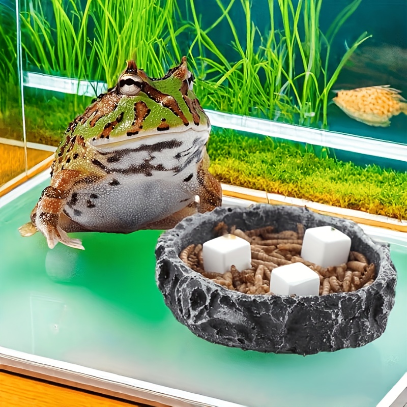 6 Stück Aquarium-Kalziumblöcke – Aquarium Plants Live Bewertung und Preis