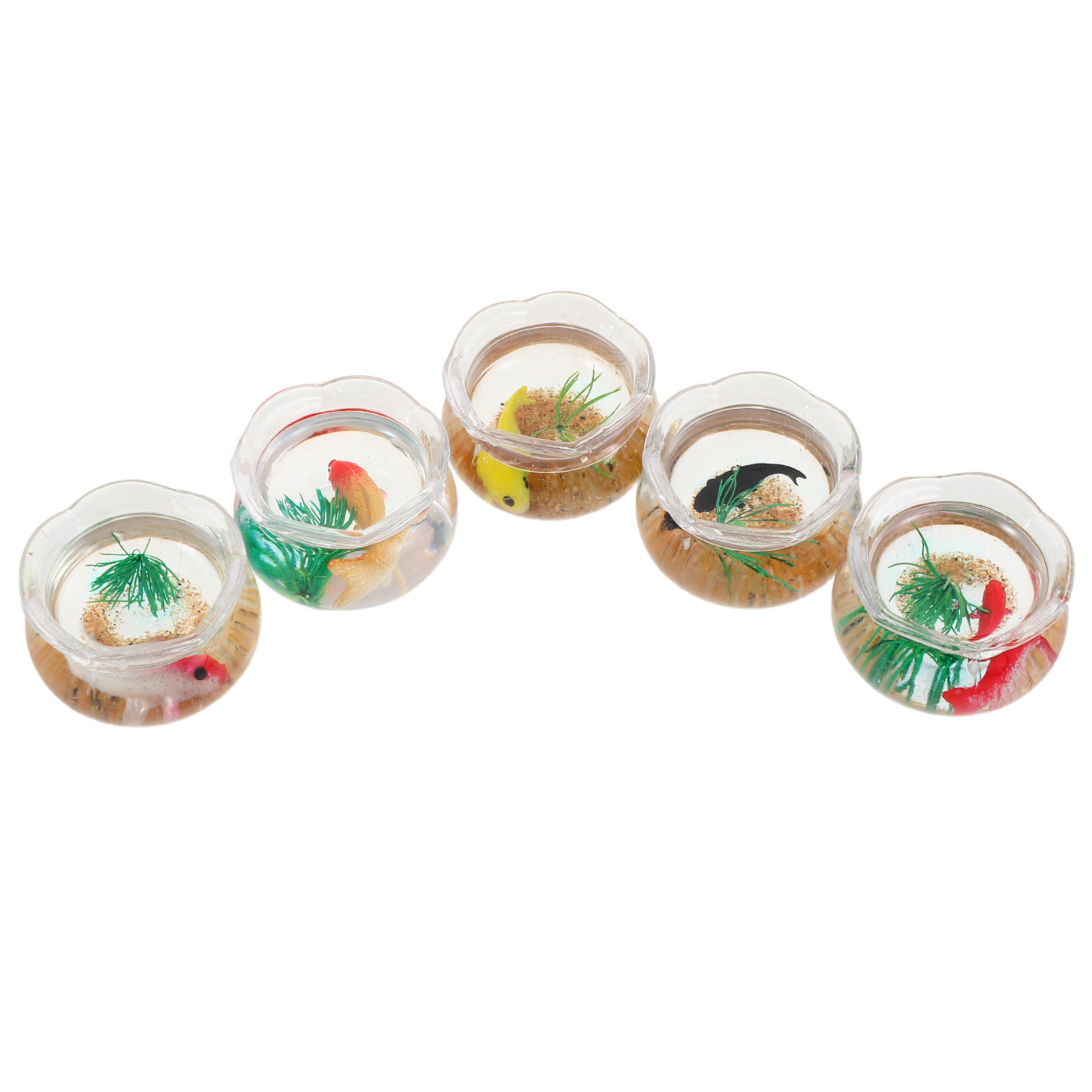 5 Stück Miniatur-Koi-Aquarium: – Planted Tank Bewertung und Preis