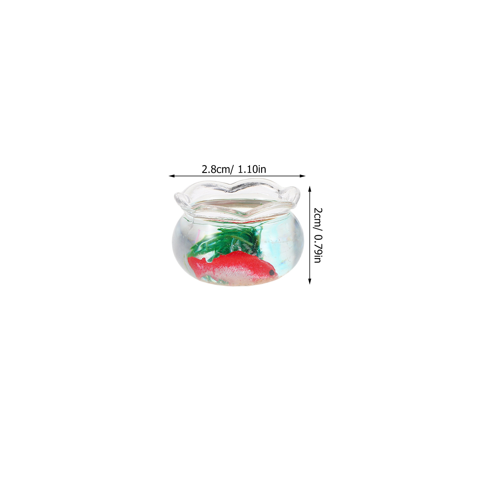 5 Stück Miniatur-Koi-Aquarium: – Planted Tank Bewertung und Preis